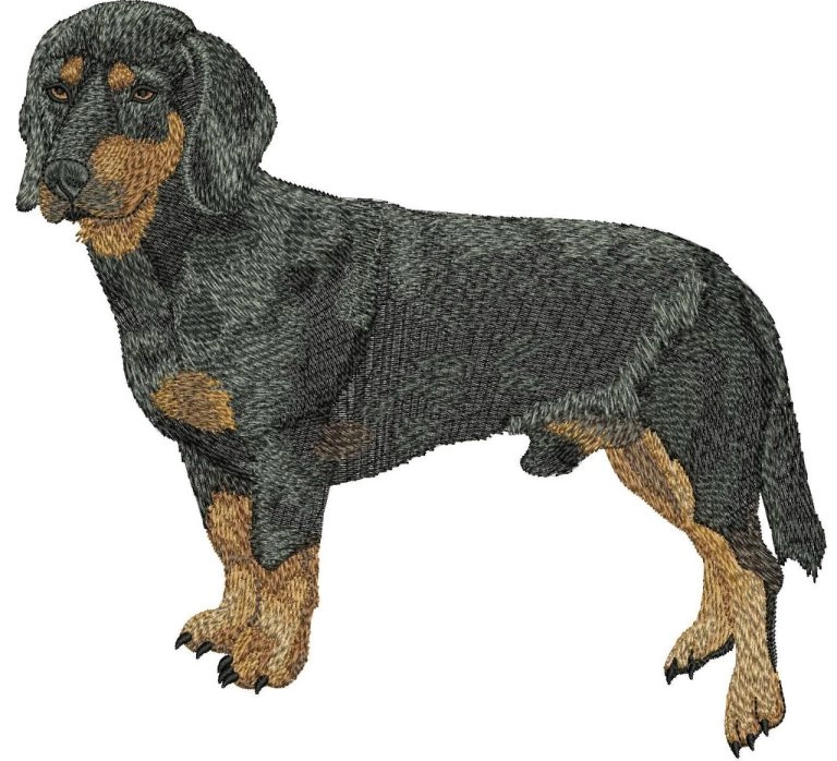 Embroidery Digitizing by Digitizing Buddy