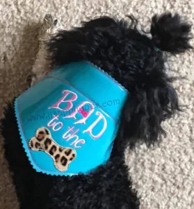 Halloween Embroidered Pet bandana 