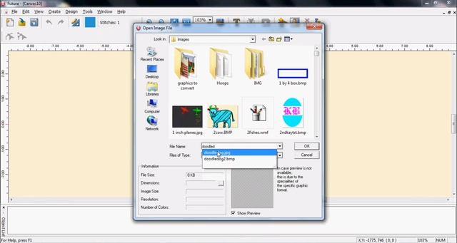 VIP File Format