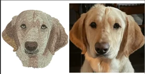 Embroidery Digitizing by Digitizing Buddy