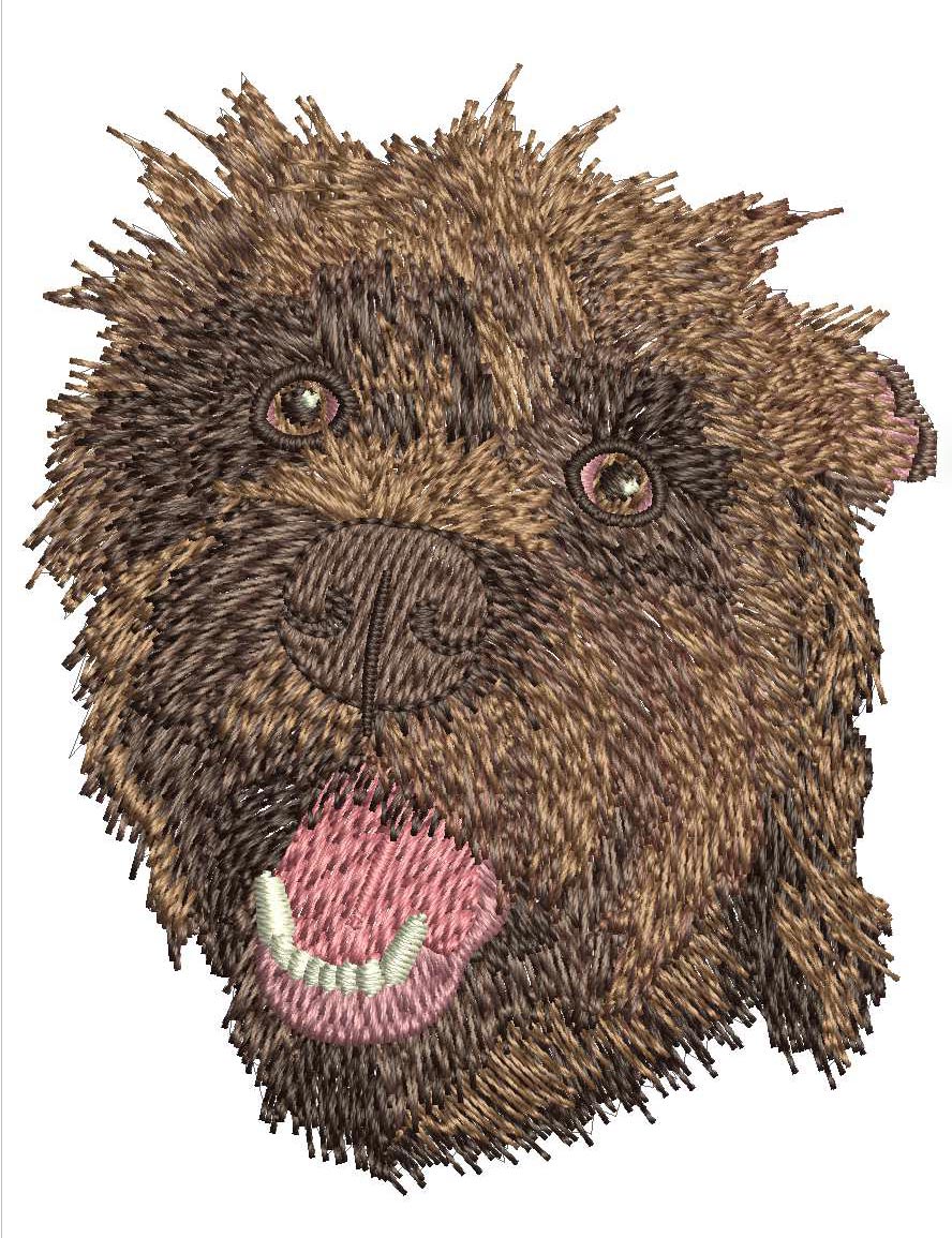 Professional Embroidery Digitizing by Digitizing Buddy