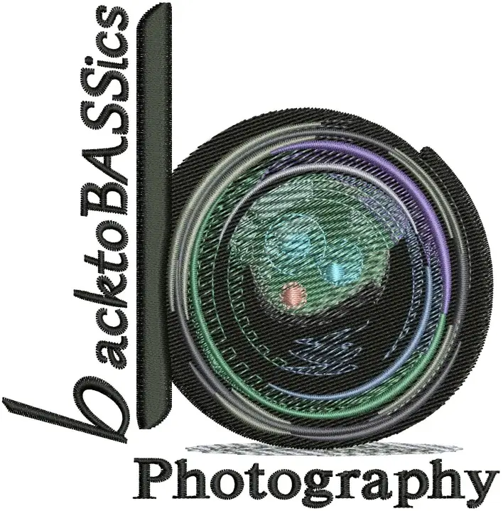 Quality Embroidery Digitizing by Digitizing Buddy Quality Embroidery Digitizing by Digitizing Buddy